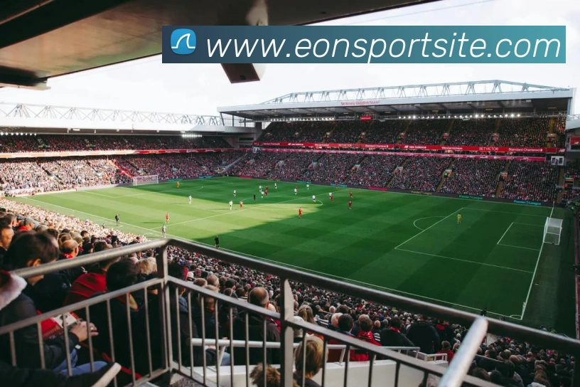 意昂体育平台生态图